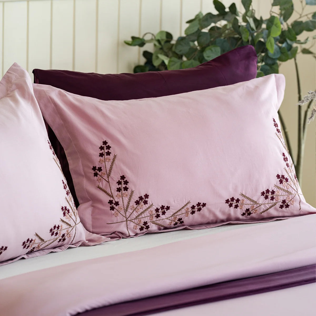Embroidered Cotton Sheet Set