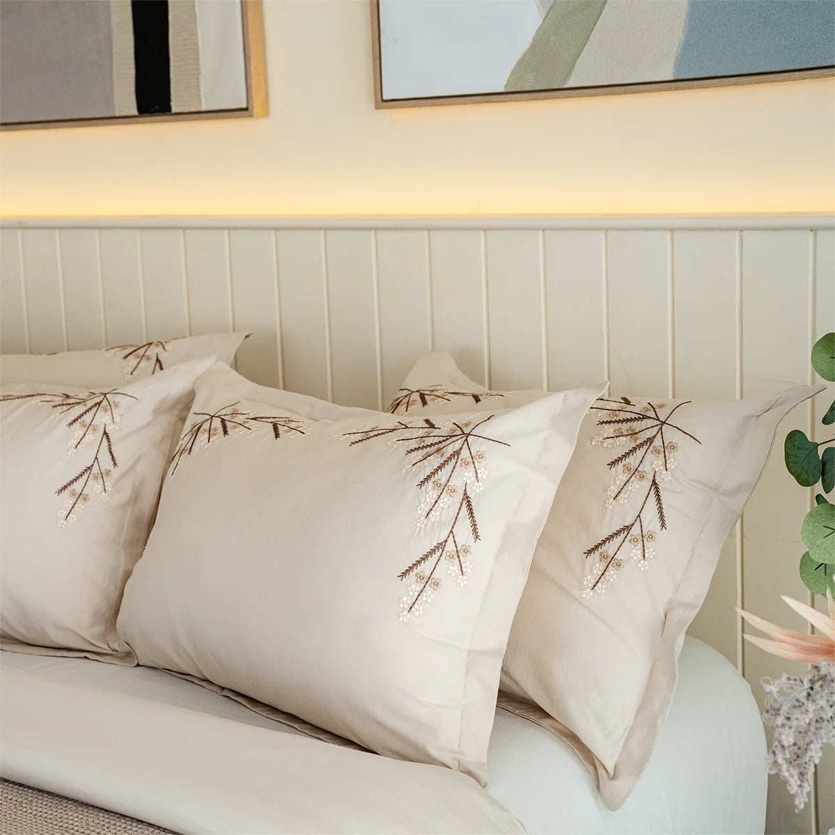 Embroidered Cotton Sheet Set